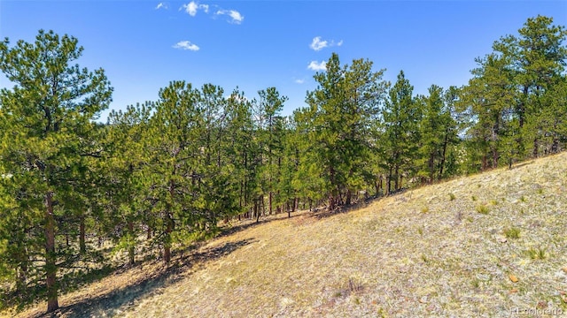 56 Dallas Park Cir, Florissant, CO 80816