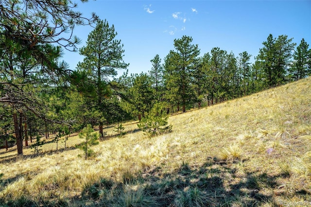 56 Dallas Park Cir, Florissant, CO 80816