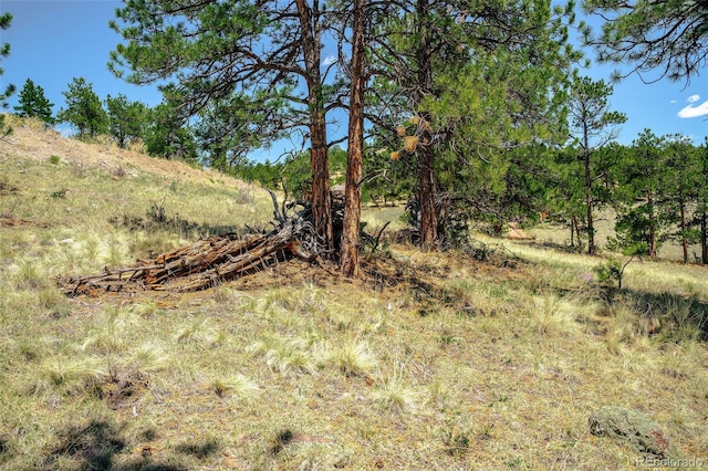 56 Dallas Park Cir, Florissant, CO 80816