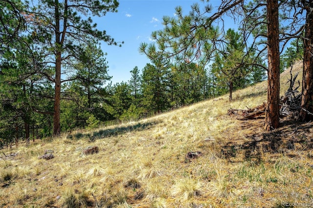 56 Dallas Park Cir, Florissant, CO 80816