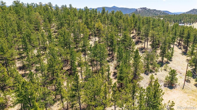 56 Dallas Park Cir, Florissant, CO 80816