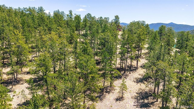 56 Dallas Park Cir, Florissant, CO 80816