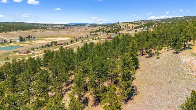 56 Dallas Park Cir, Florissant, CO 80816