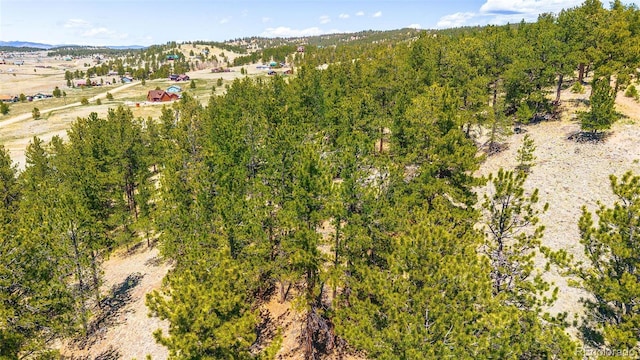 56 Dallas Park Cir, Florissant, CO 80816