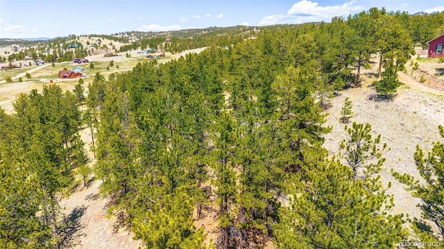56 Dallas Park Cir, Florissant, CO 80816