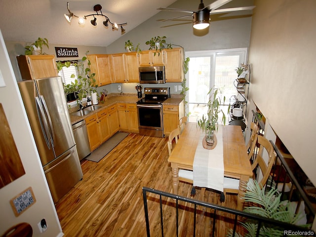 11572 Lamar St, Westminster, CO 80020 - photo 10