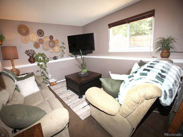 11572 Lamar St, Westminster, CO 80020 - photo 24