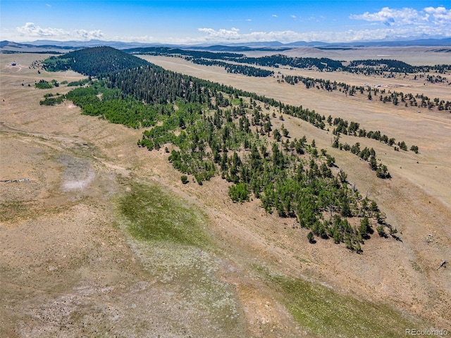 157 Crow Ct, Como CO, 80432 land for sale