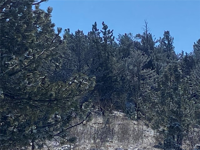 157 Crow Ct, Como, CO 80432