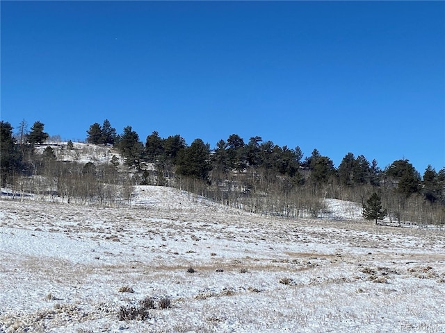 157 Crow Ct, Como, CO 80432