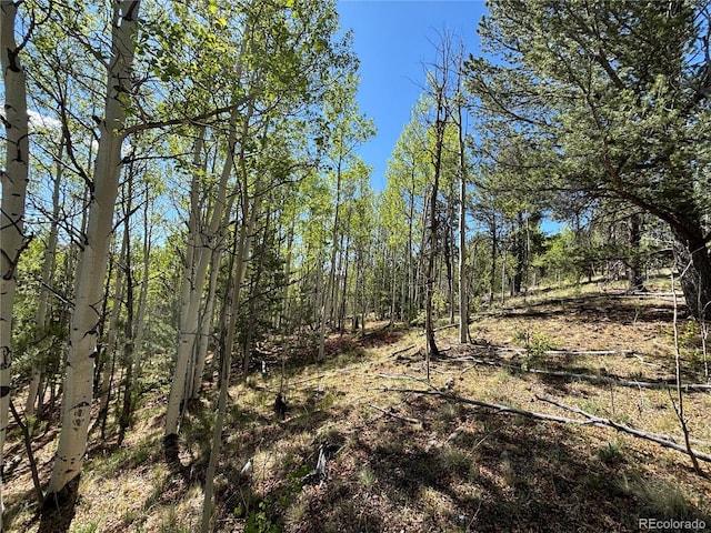 157 Crow Ct, Como, CO 80432
