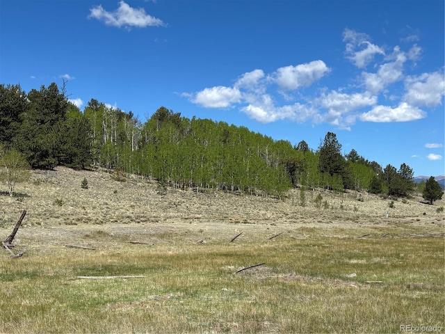 157 Crow Ct, Como, CO 80432