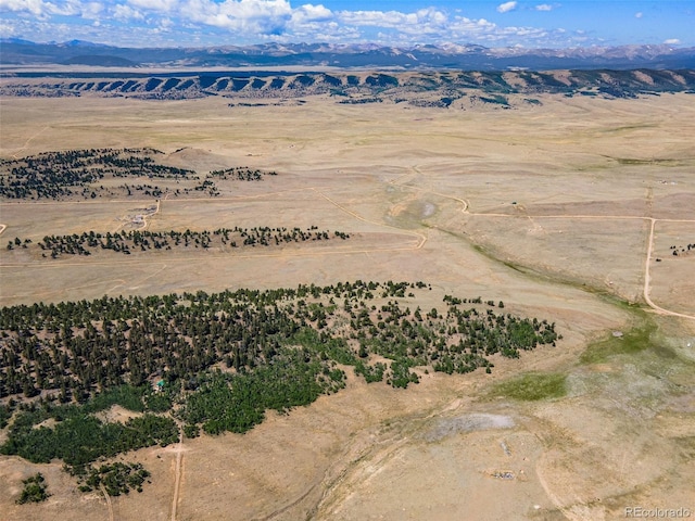 157 Crow Ct, Como, CO 80432