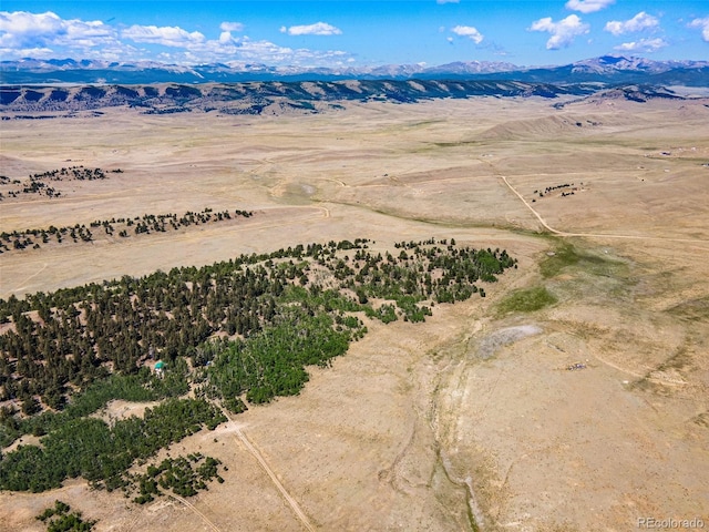 157 Crow Ct, Como, CO 80432