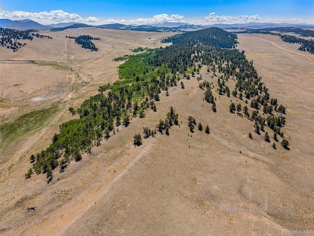 157 Crow Ct, Como, CO 80432