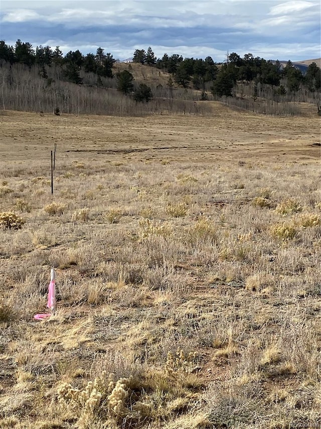 157 Crow Ct, Como, CO 80432
