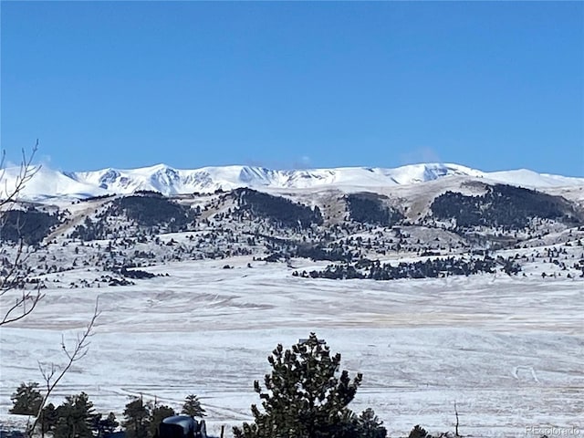 157 Crow Ct, Como, CO 80432