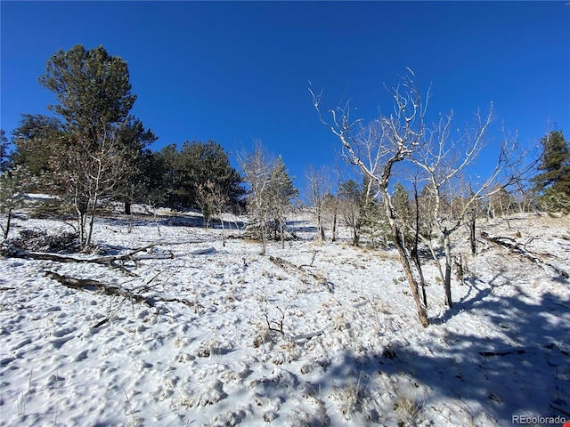 157 Crow Ct, Como, CO 80432