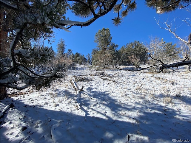 157 Crow Ct, Como, CO 80432