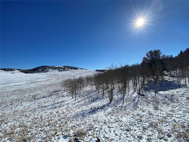 157 Crow Ct, Como, CO 80432