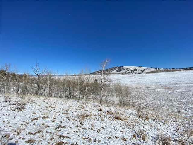 157 Crow Ct, Como, CO 80432