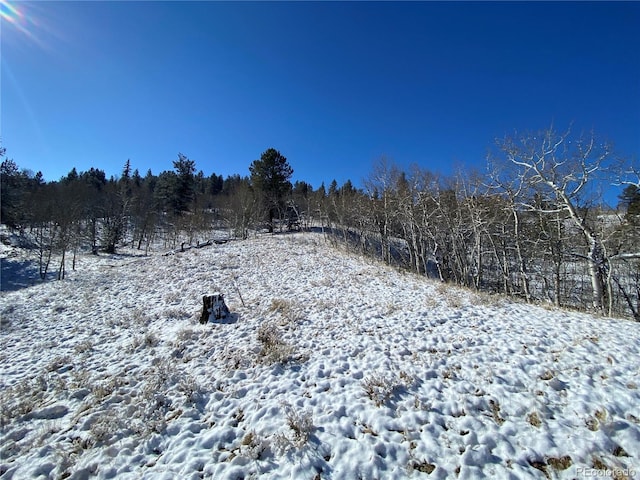 157 Crow Ct, Como, CO 80432