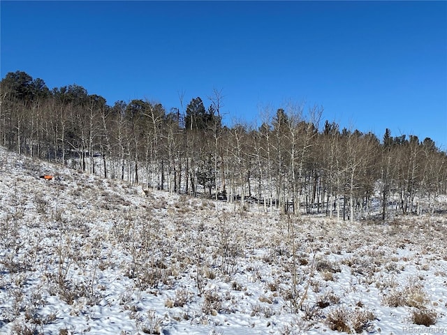157 Crow Ct, Como, CO 80432