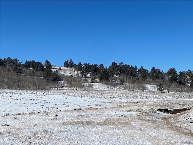 157 Crow Ct, Como, CO 80432
