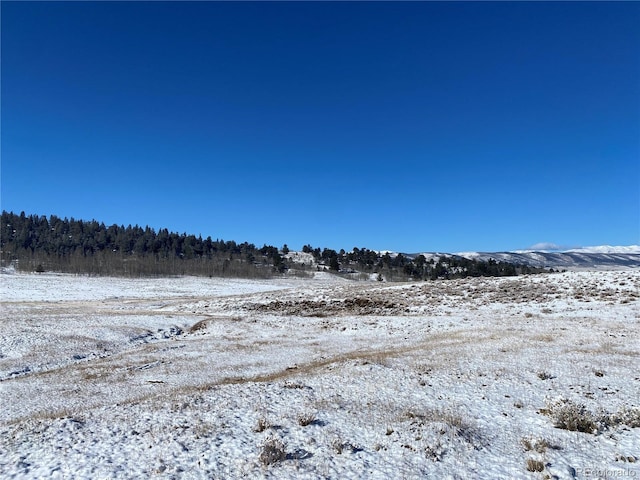 157 Crow Ct, Como, CO 80432
