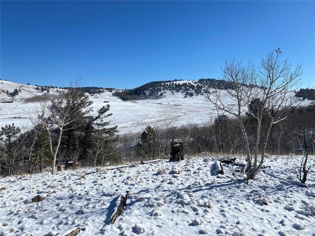 157 Crow Ct, Como, CO 80432