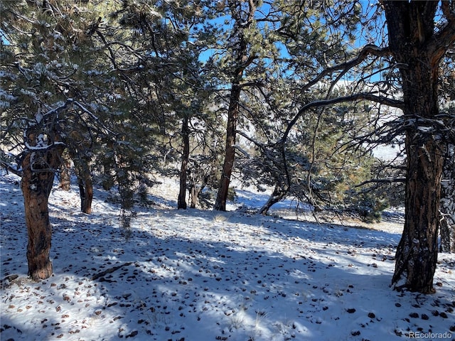 157 Crow Ct, Como, CO 80432
