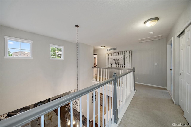 5107 Pasadena Way, Broomfield, CO 80023 - corridor with carpet and baseboards