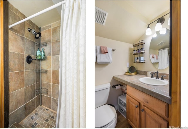 bathroom featuring vanity, curtained shower, and toilet