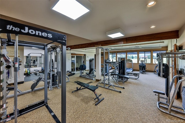 exercise room featuring carpet flooring