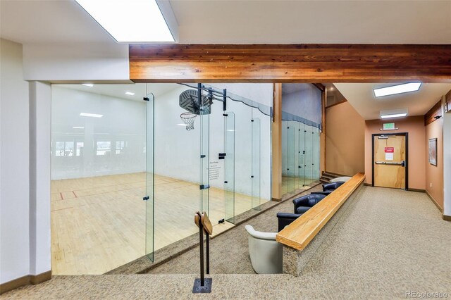 exercise room featuring carpet floors