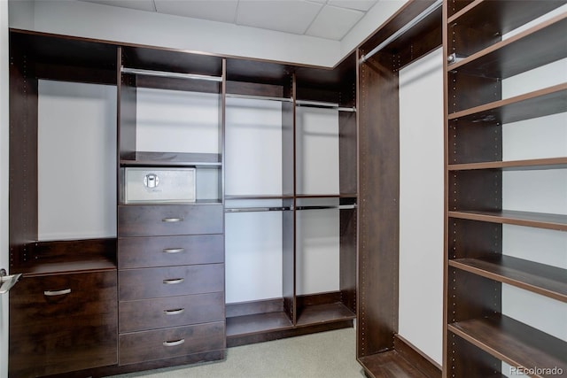 view of spacious closet