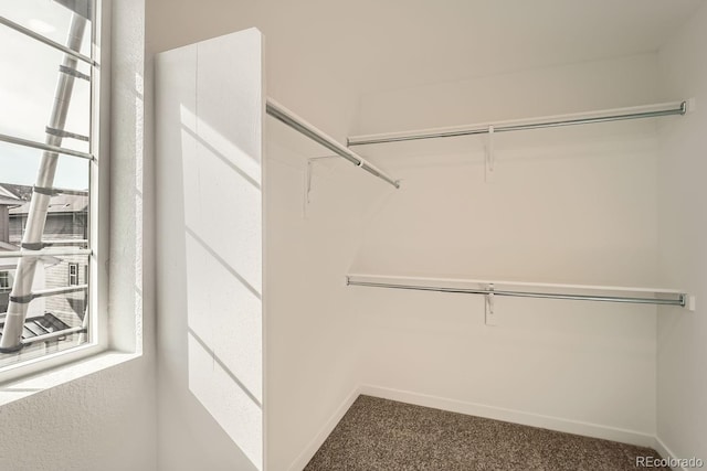 spacious closet with dark carpet