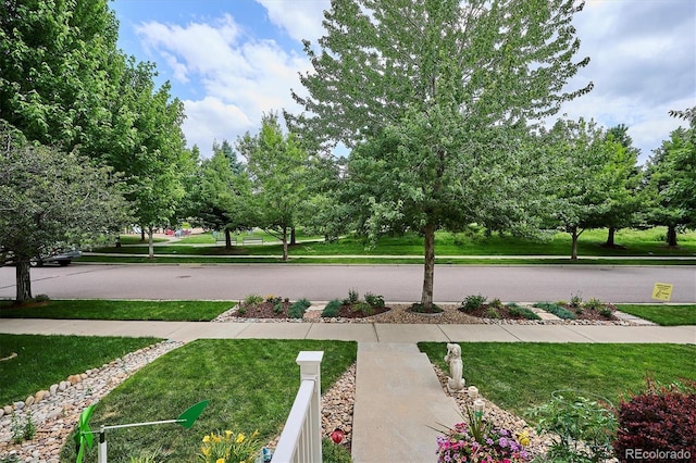9311 E 5th Ave, Denver, CO 80230 - view of grassy yard
