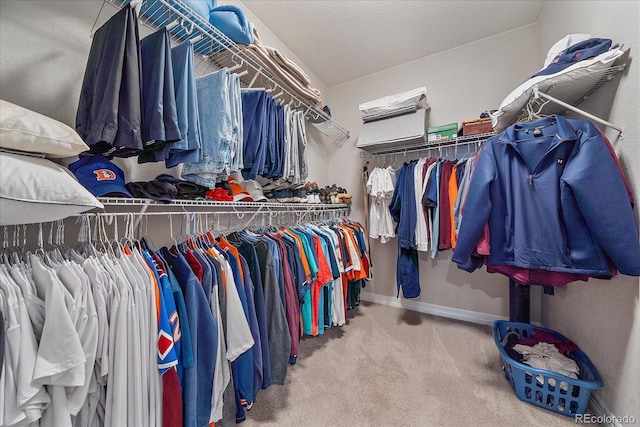 spacious closet featuring carpet flooring