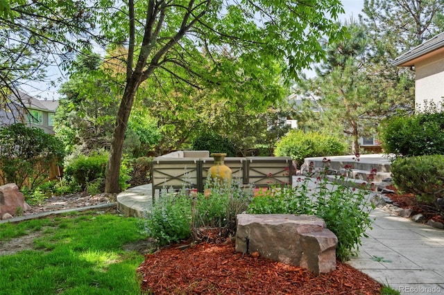 5350 S Marshall St, Littleton, CO 80123 - view of yard