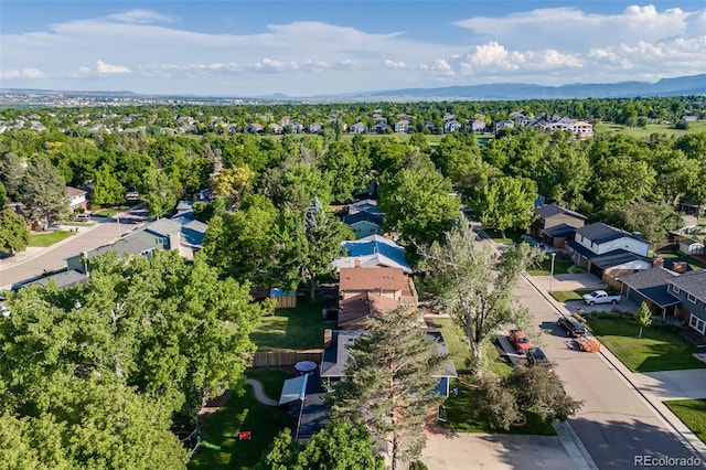 6266 S Gray Ct, Littleton, CO 80123 - photo 39