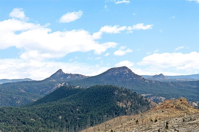 00 Quandary Peak Trl, Pine, CO 80470