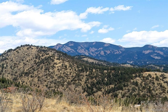 00 Quandary Peak Trl, Pine, CO 80470