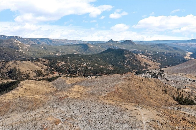 00 Quandary Peak Trl, Pine, CO 80470