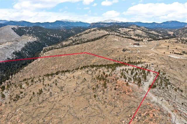 00 Quandary Peak Trl, Pine, CO 80470