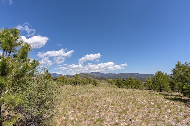 00 Quandary Peak Trl, Pine, CO 80470