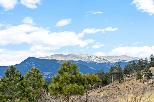 00 Quandary Peak Trl, Pine, CO 80470