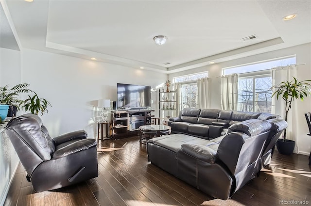 living room with dark hardwood / wood-style flooring and a raised ceiling