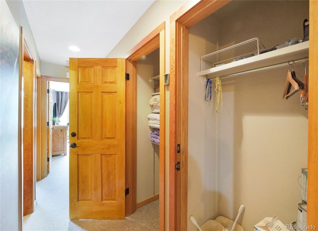 view of closet