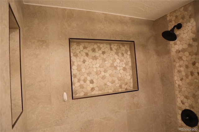 room details with tiled shower